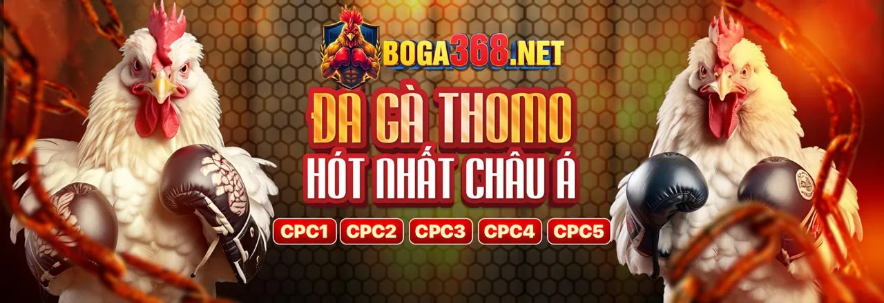 Cá cược thể thao tại 365win